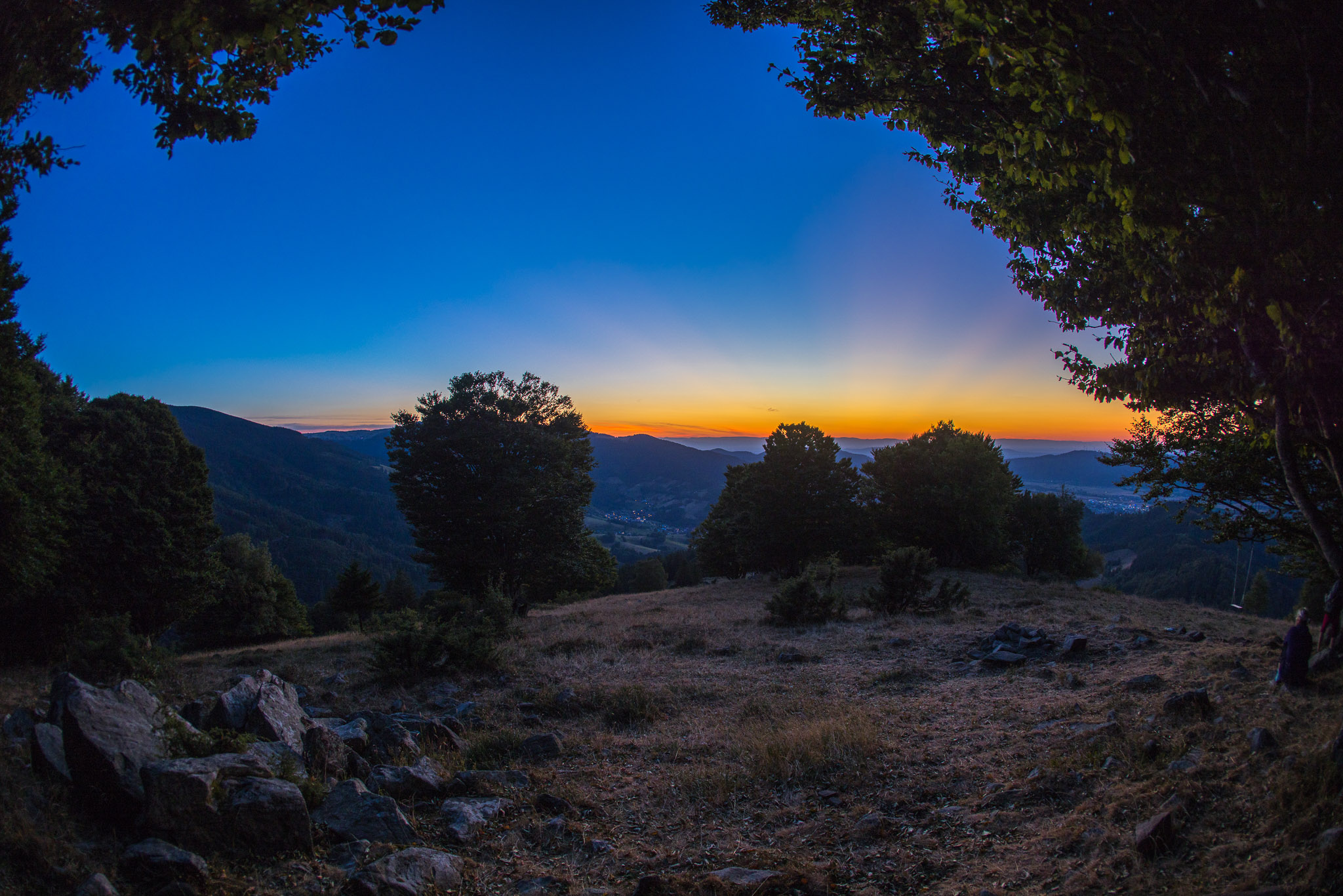 20220813210855 R5D 7144